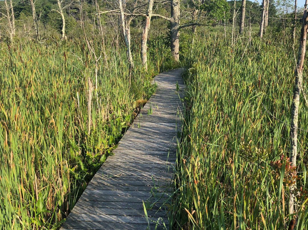 Mass Audubon Ipswich River Wildlife Sanctuary-Topsfield必去景点