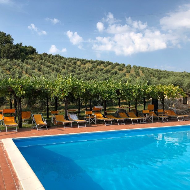 马奇纳农庄酒店-官方