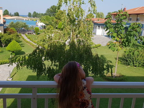 柏拉图大酒店主图