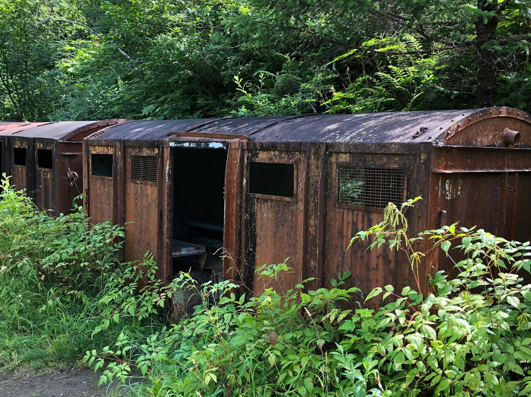 Gold Creek Flume Trail-朱诺必去景点