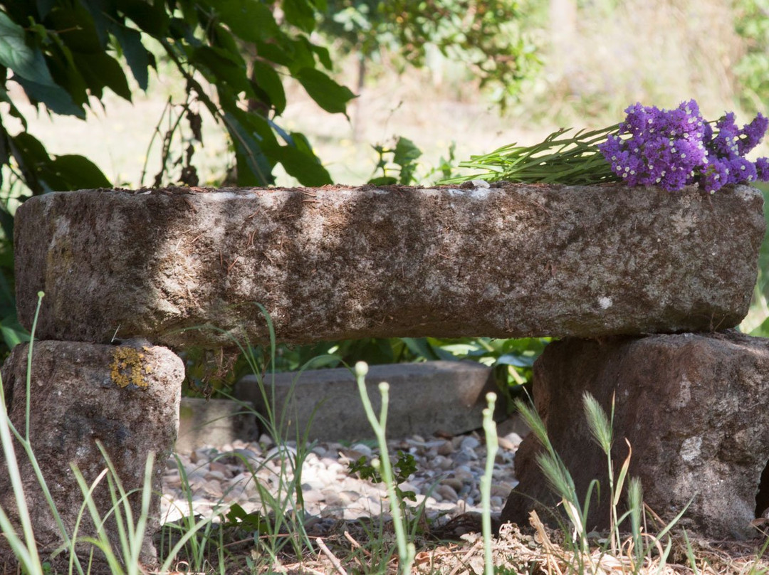 B&B La Gioia Dei Sensi主图