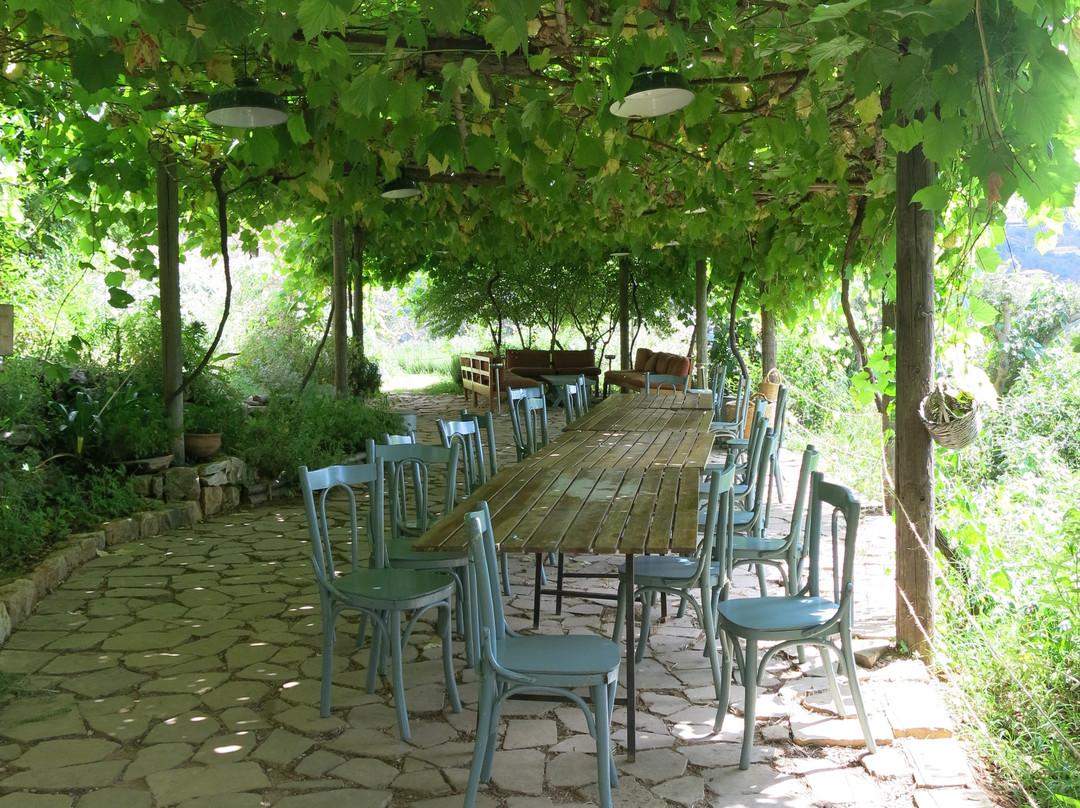 The Silk Museum-贝鲁特必去景点