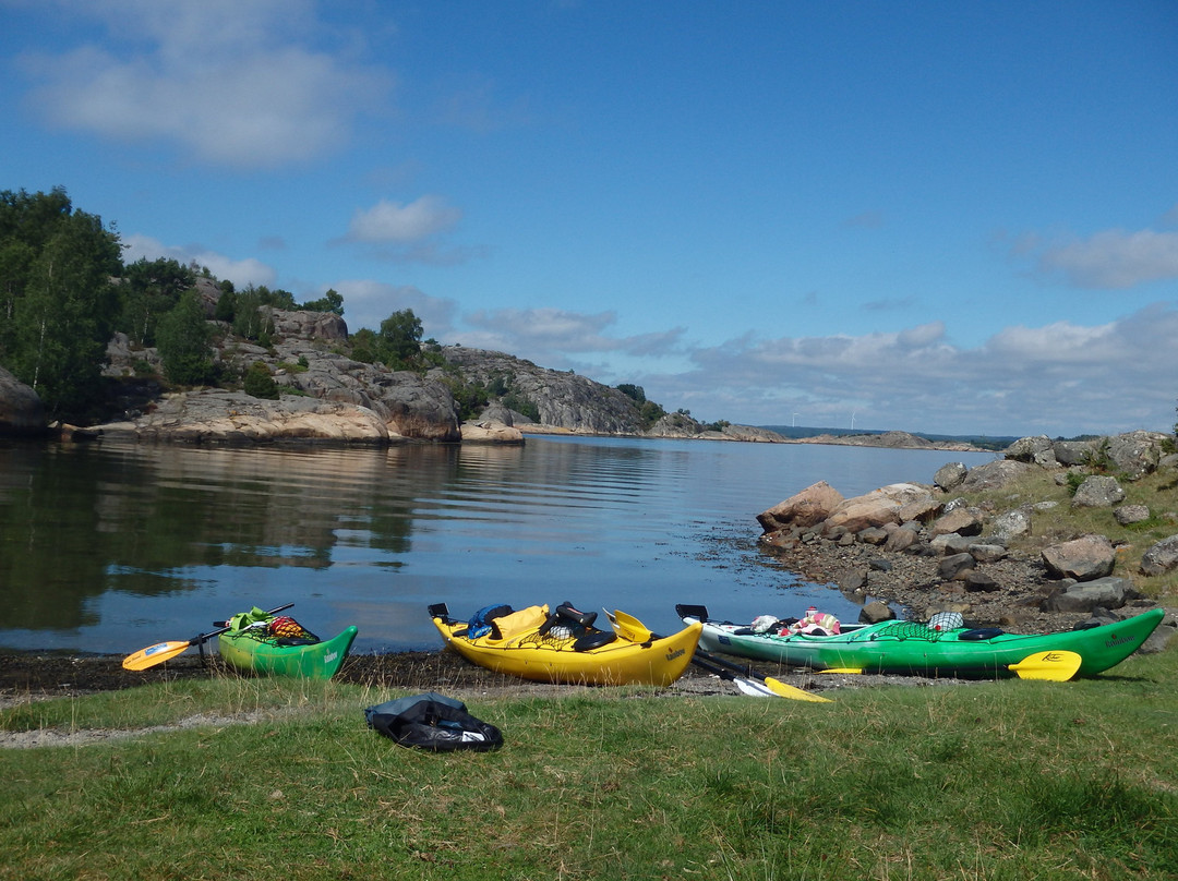 Kayak in Grundsund景点图片