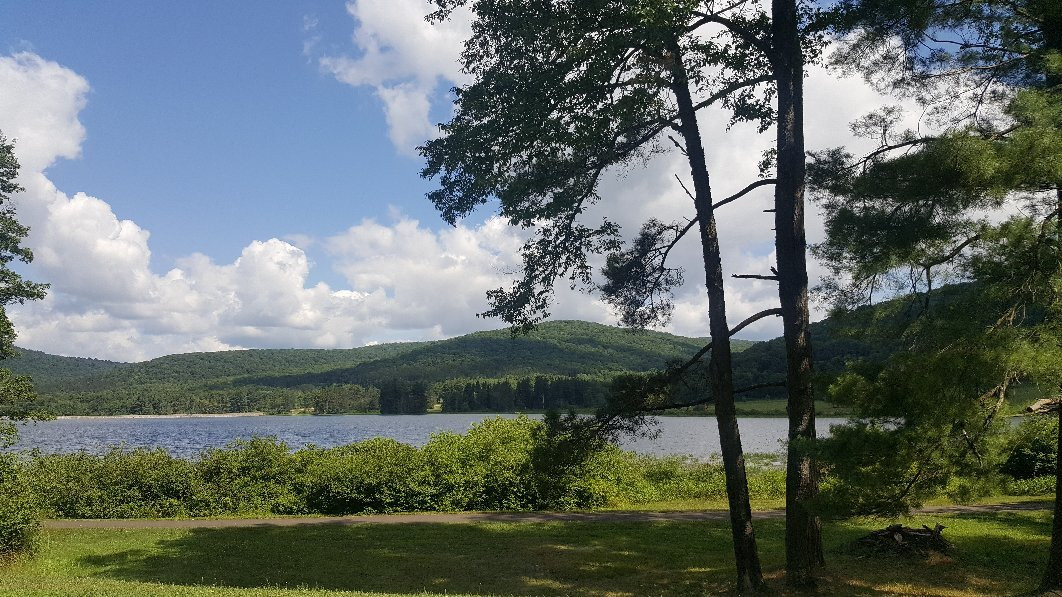 Allegany State Park景点图片