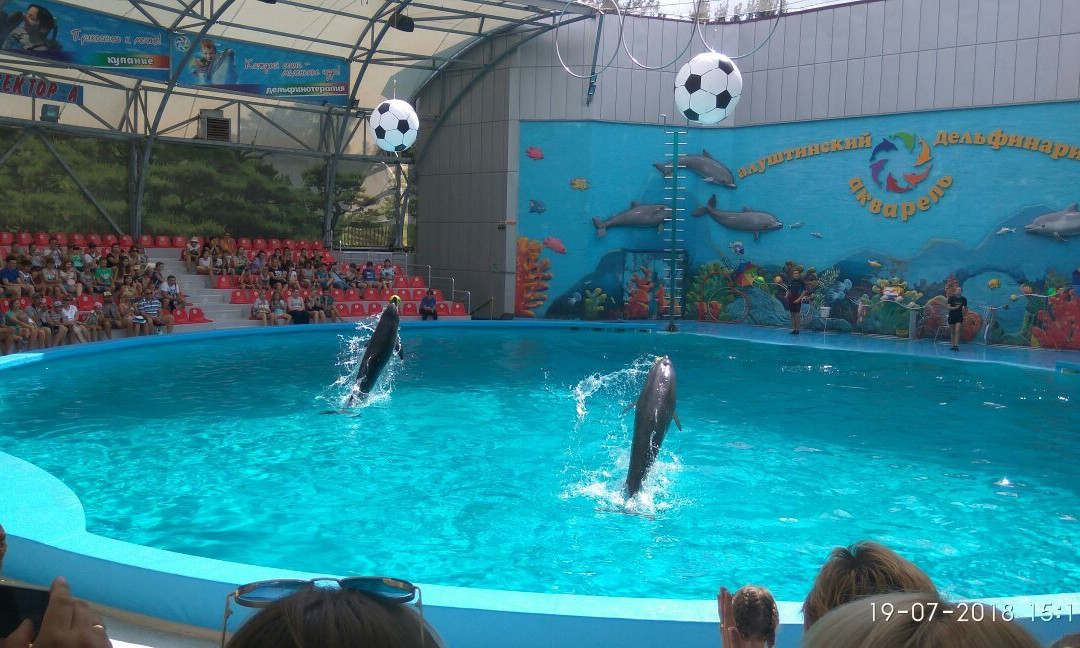 Dolphinarium Akvarel-阿卢什塔必去景点