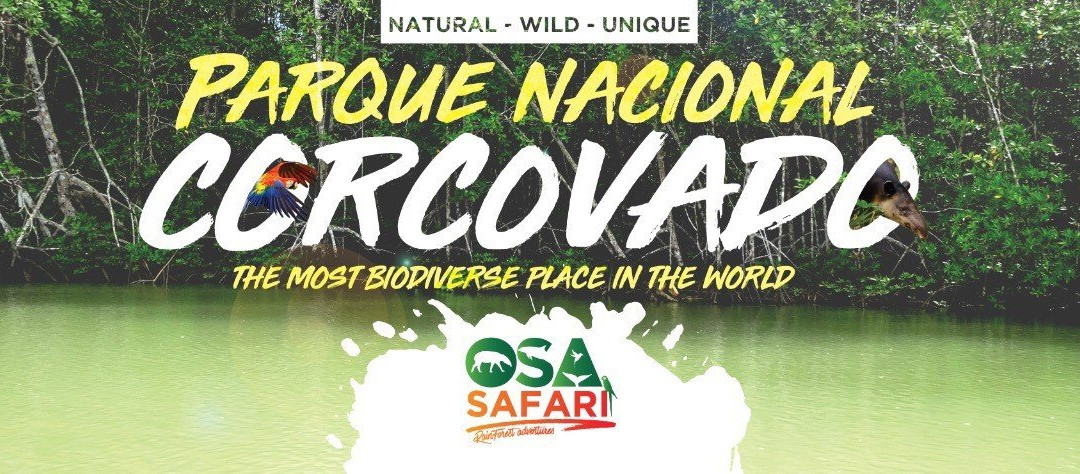 Osa Safari景点图片