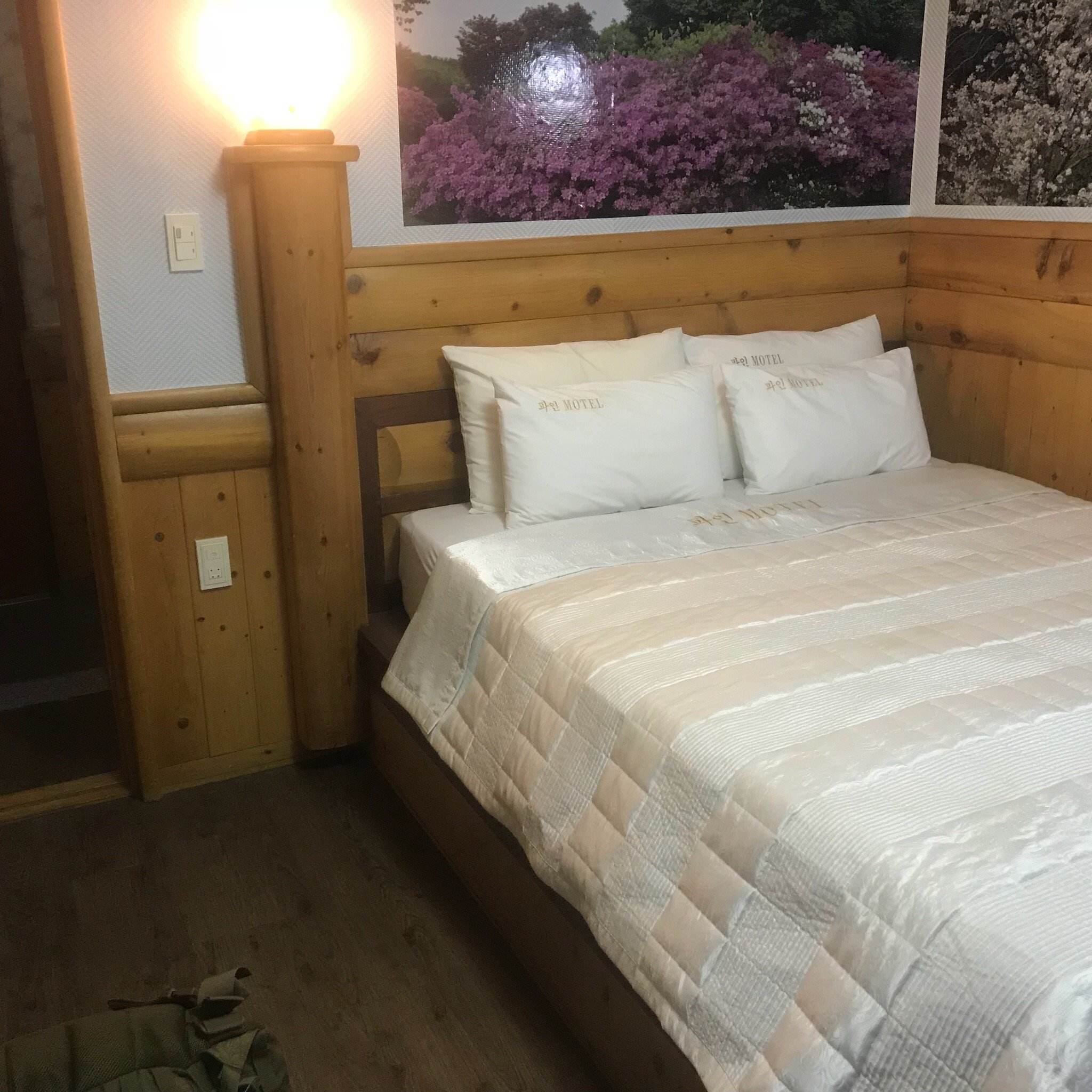 Pine Motel-官方