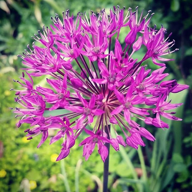 New Canaan Nature Center-New Canaan必去景点
