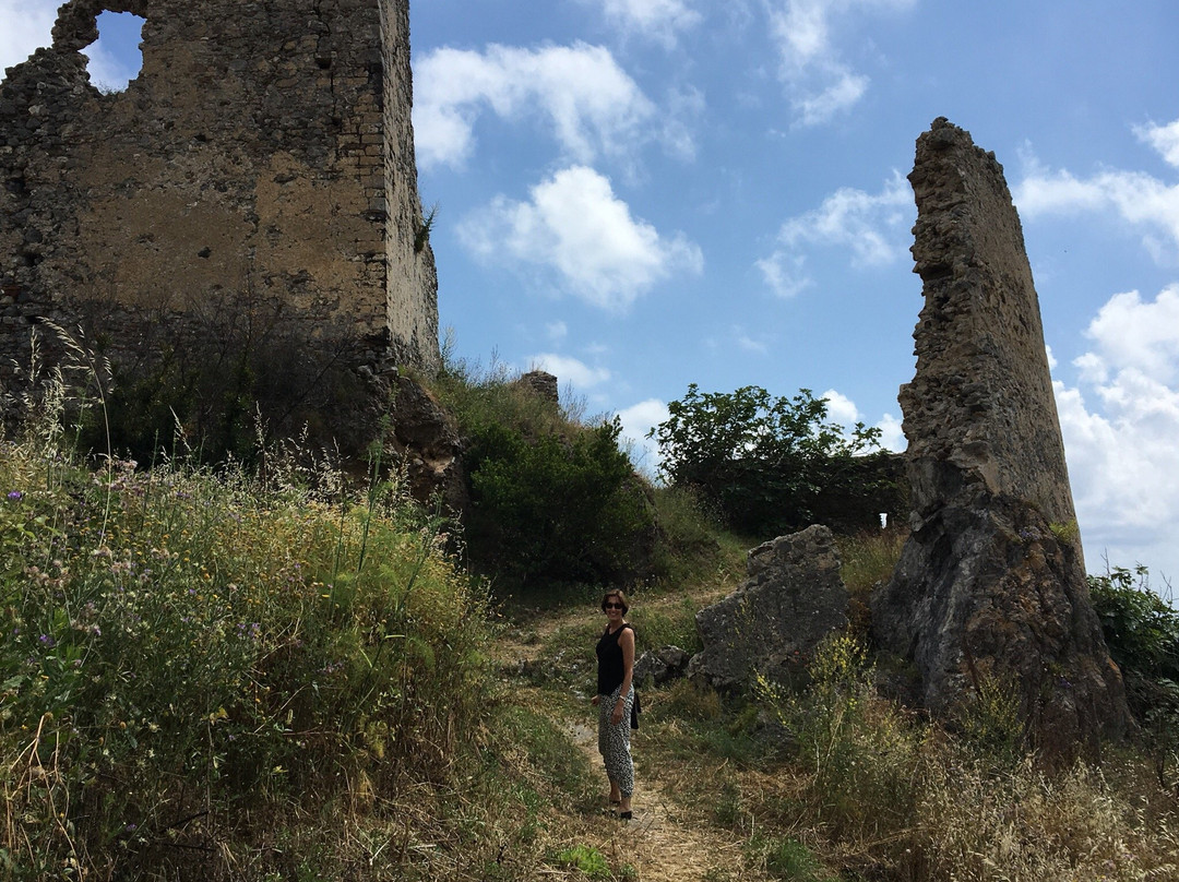 Ruderi Del Castello Normanno景点图片