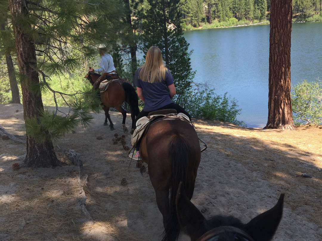 Leavitt Meadows Pack Station景点图片