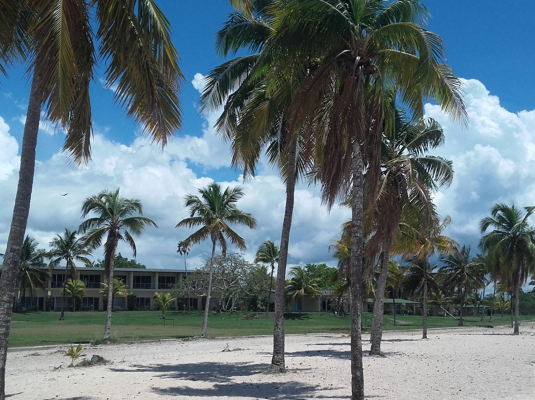 Hotel El Colony主图