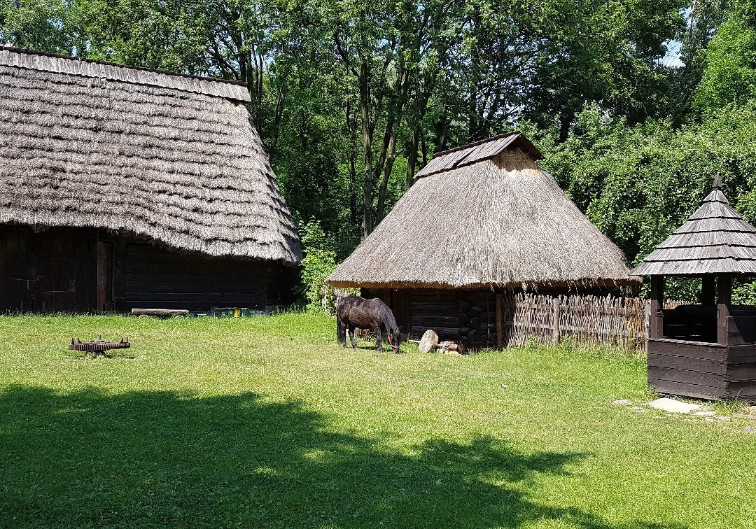 ''The Upper Silesian Ethnographic Park in Chorzow'' Museum-Chorzow必去景点