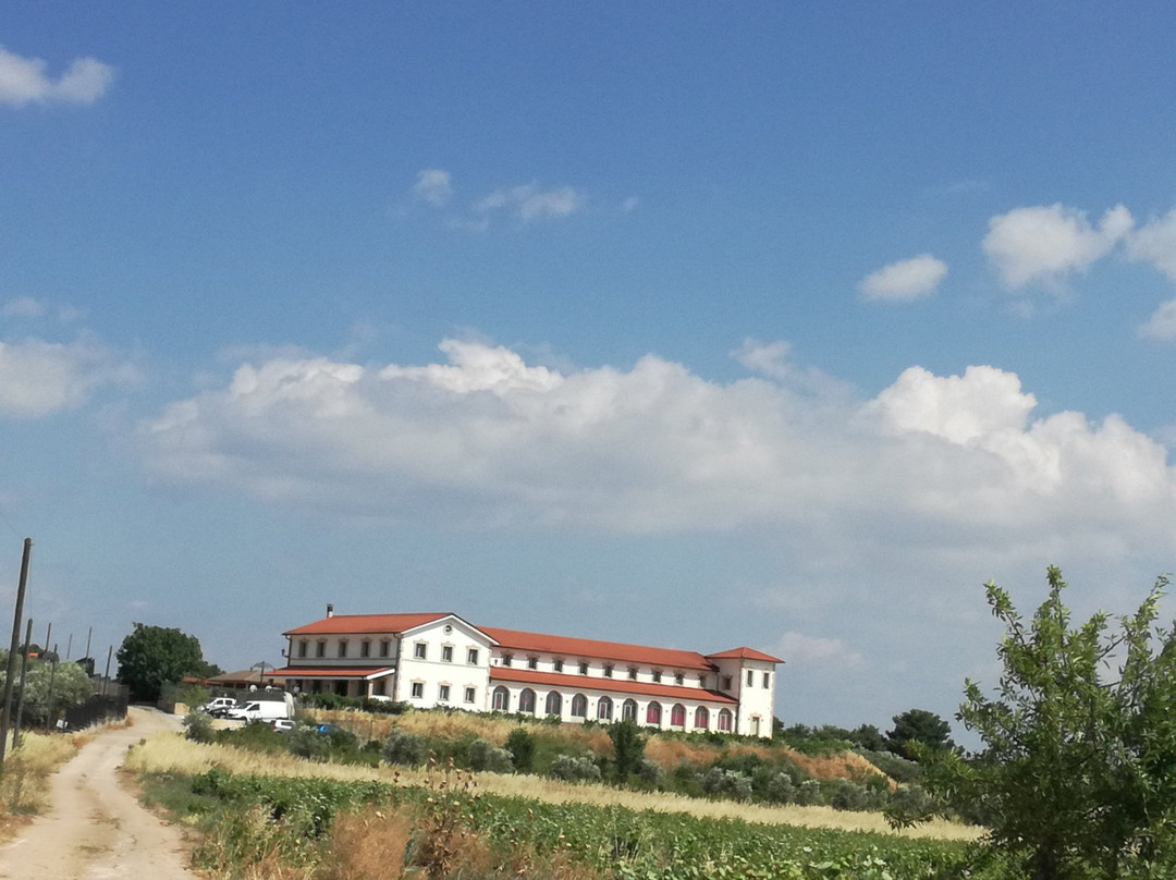 Wine Museum Tzivani景点图片