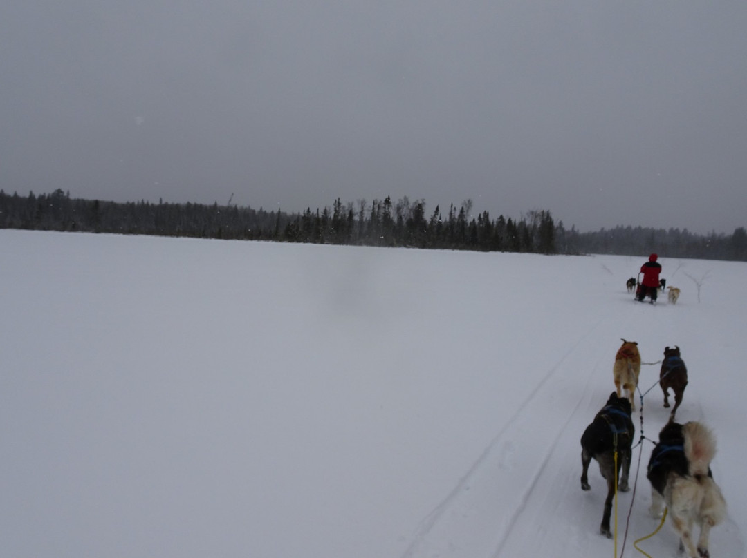 Vie d'Avant-Ture-Mont-Saint-Michel必去景点