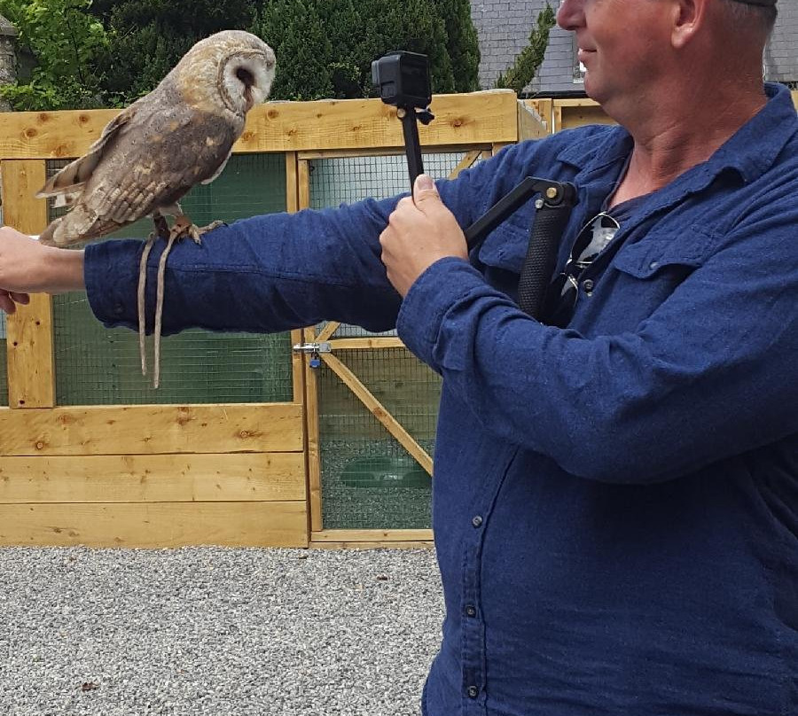 Dublin Falconry-Castleknock必去景点