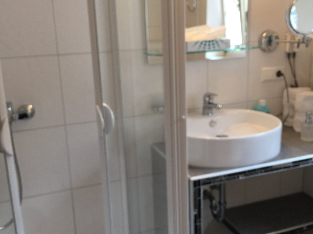 Hotel Schwanen主图