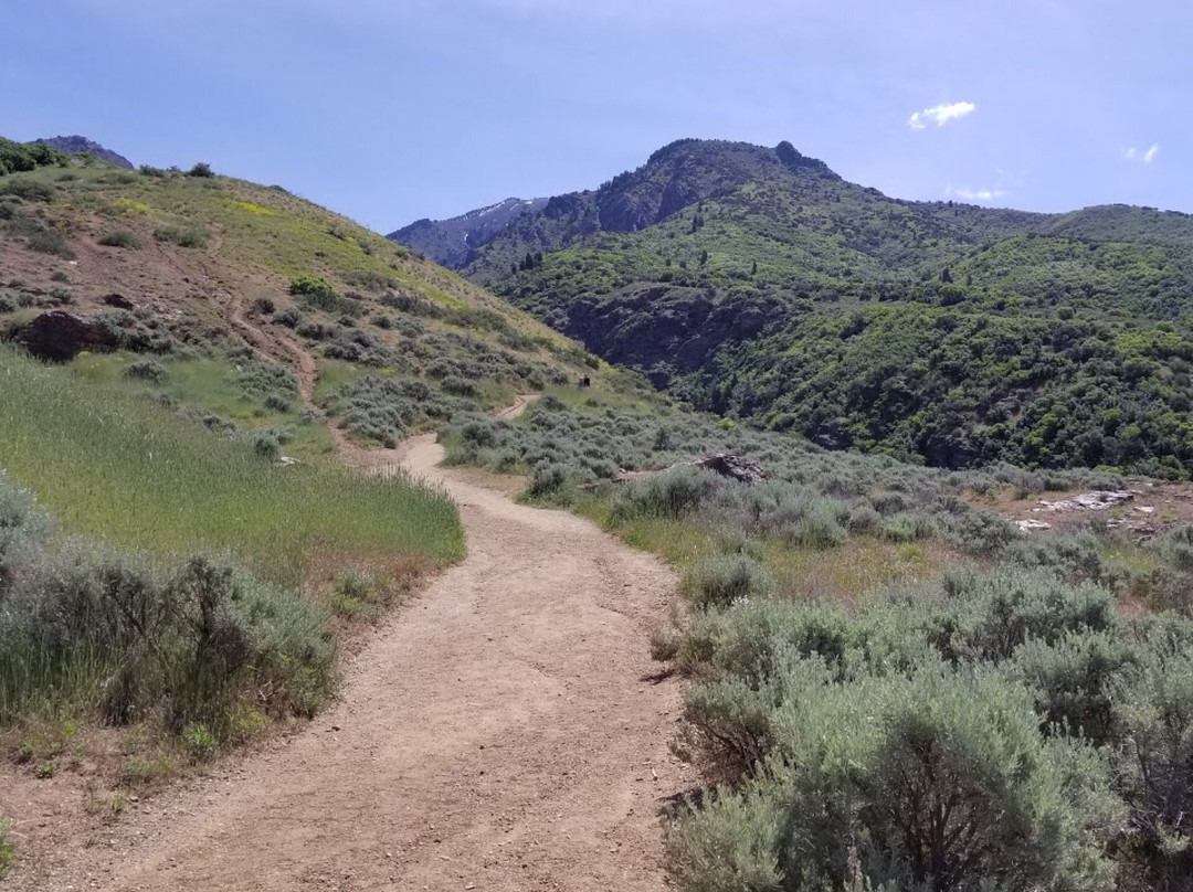 Adams Canyon Trail景点图片
