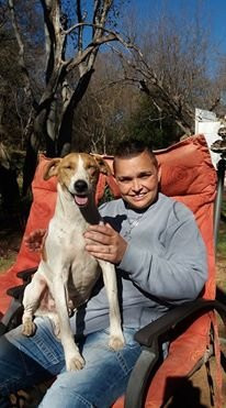 Hornbill Lodge主图