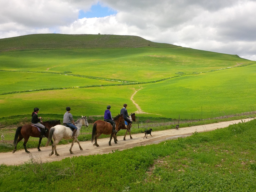 Horse Riding at Pippa's Paddock景点图片