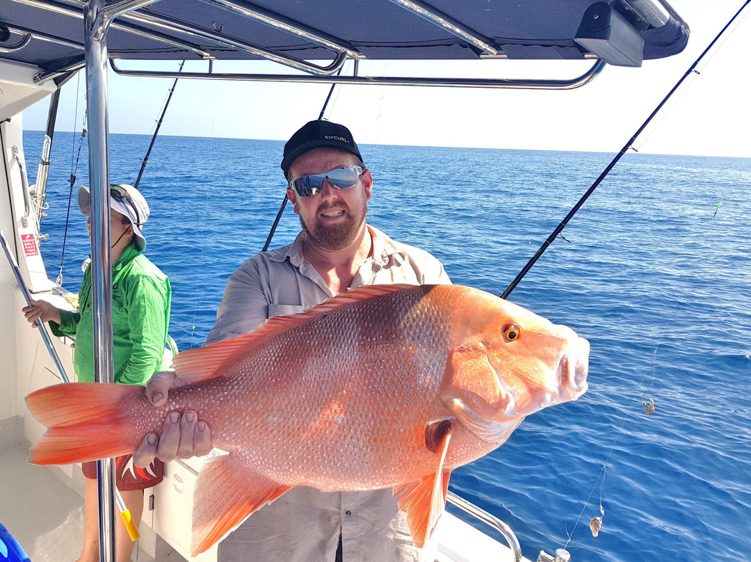 Reef Fish & Dive 1770-Agnes Water必去景点