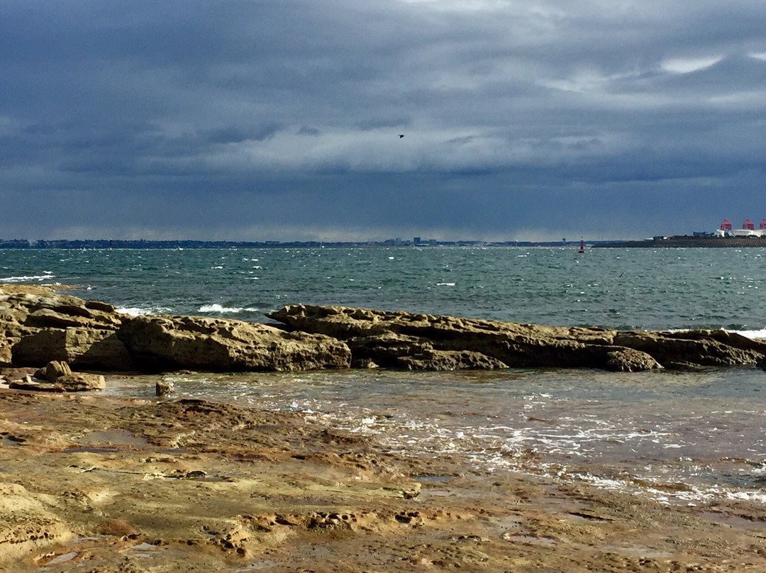 Captain Cook's Landing Place-悉尼必去景点