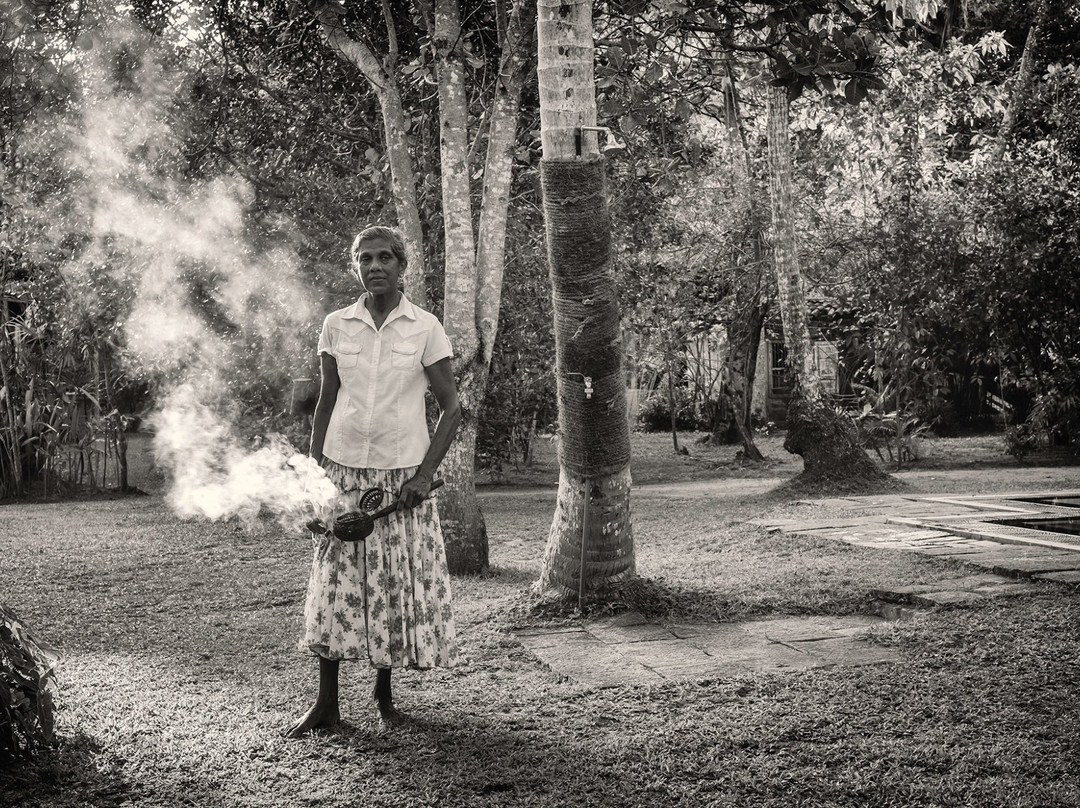 Nisala Arana Boutique Hotel主图