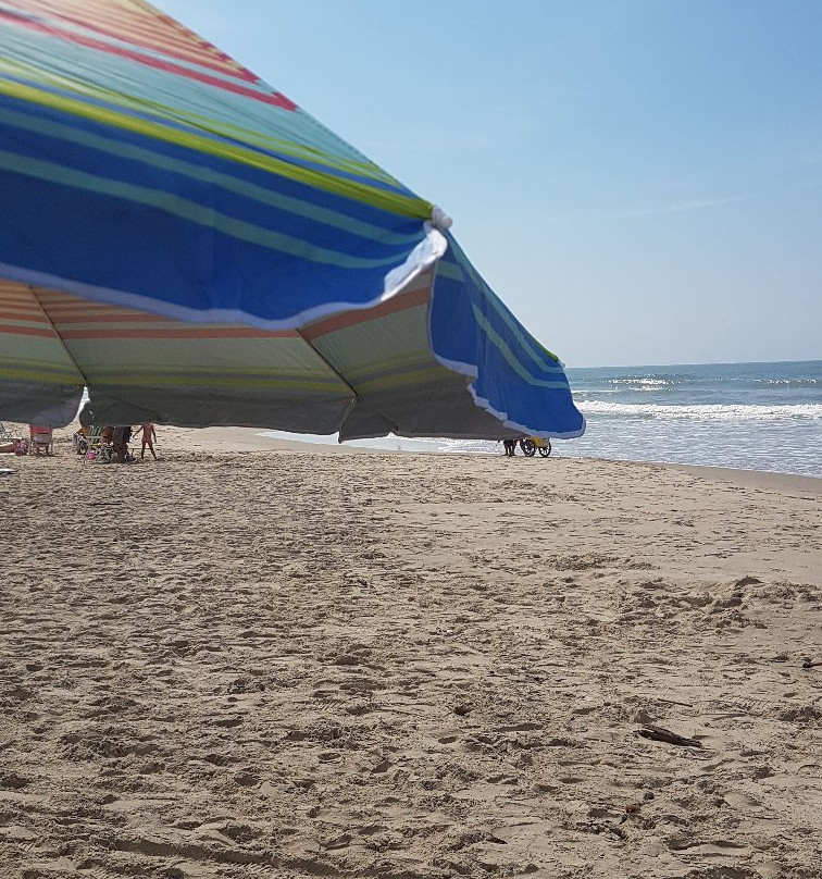 Meia-Praia Beach景点图片