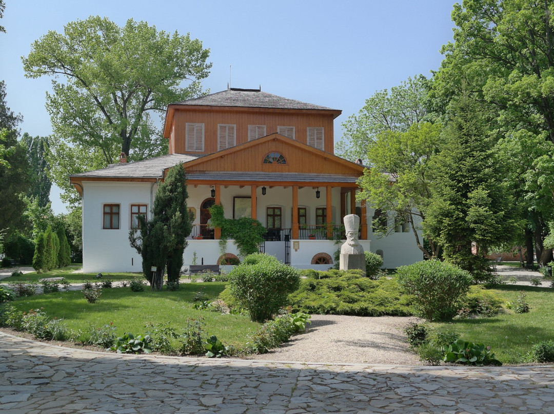 Muzeul Viticulturii şi Pomiculturii Goleşti景点图片