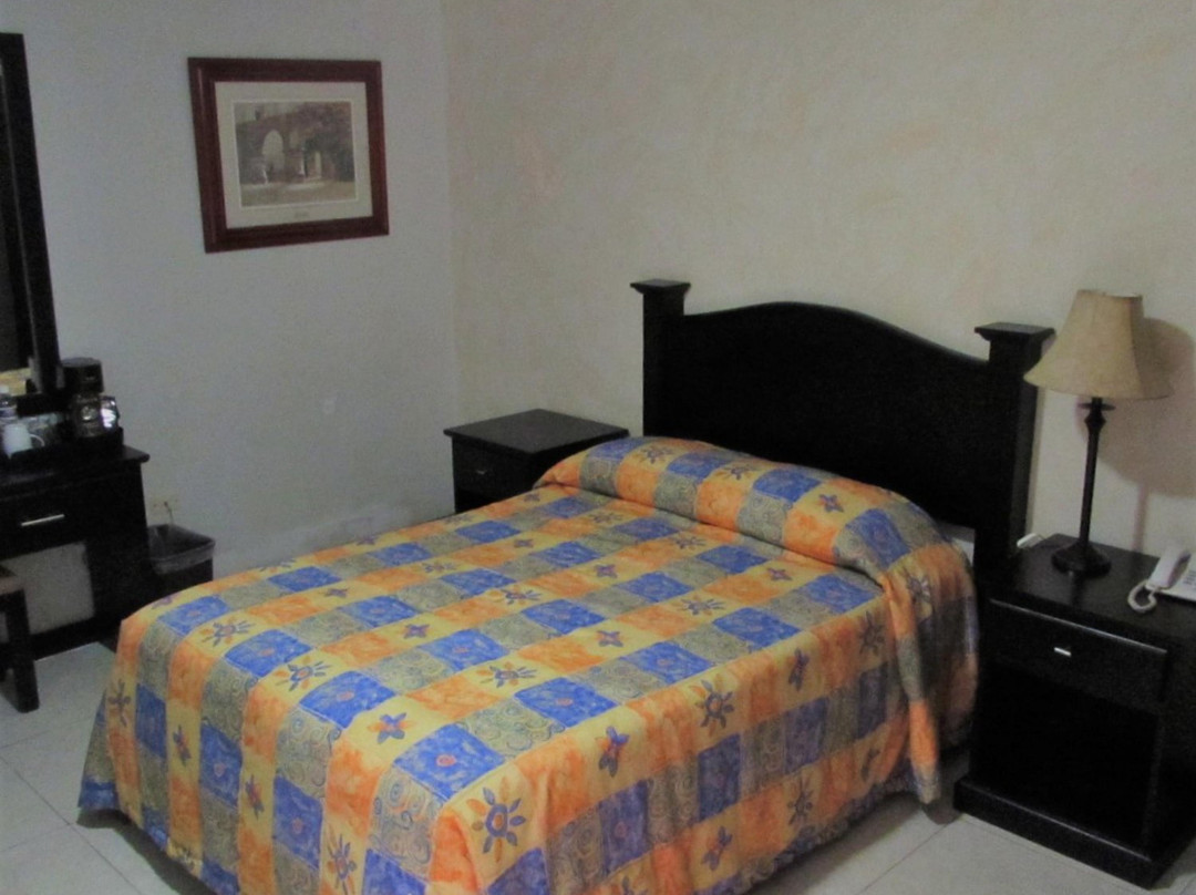 Hotel Alfa Inn主图