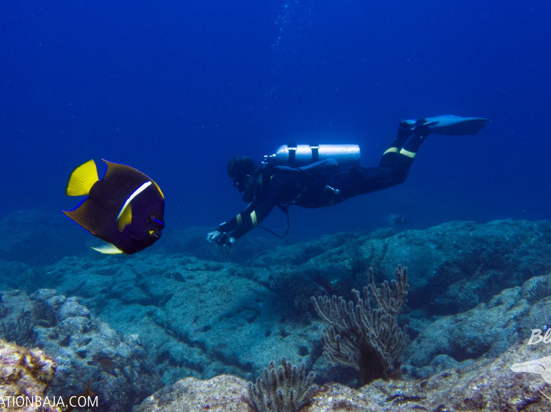 Blue Nation-洛雷托必去景点