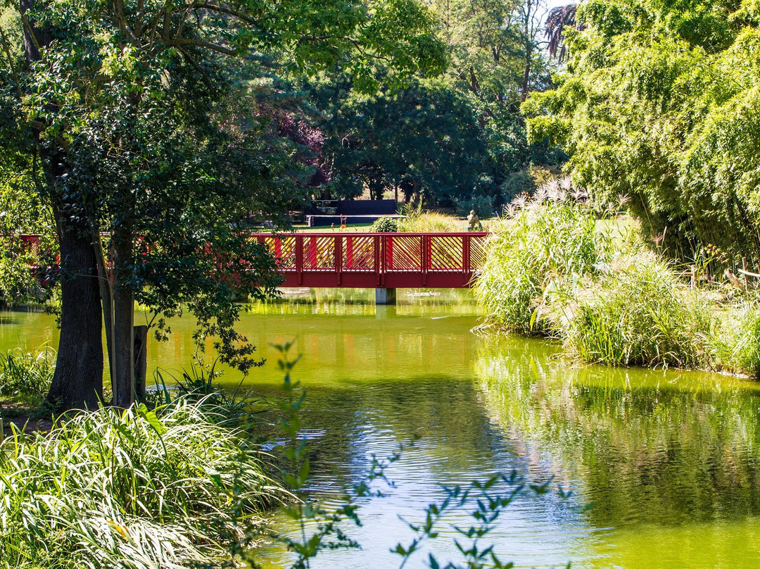 Jardin des plantes des Capellans景点图片