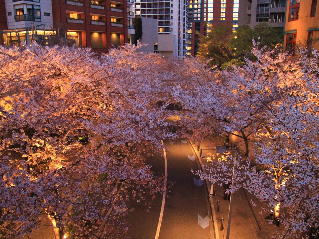 Roppongi Sakurazaka-Roppongi必去景点