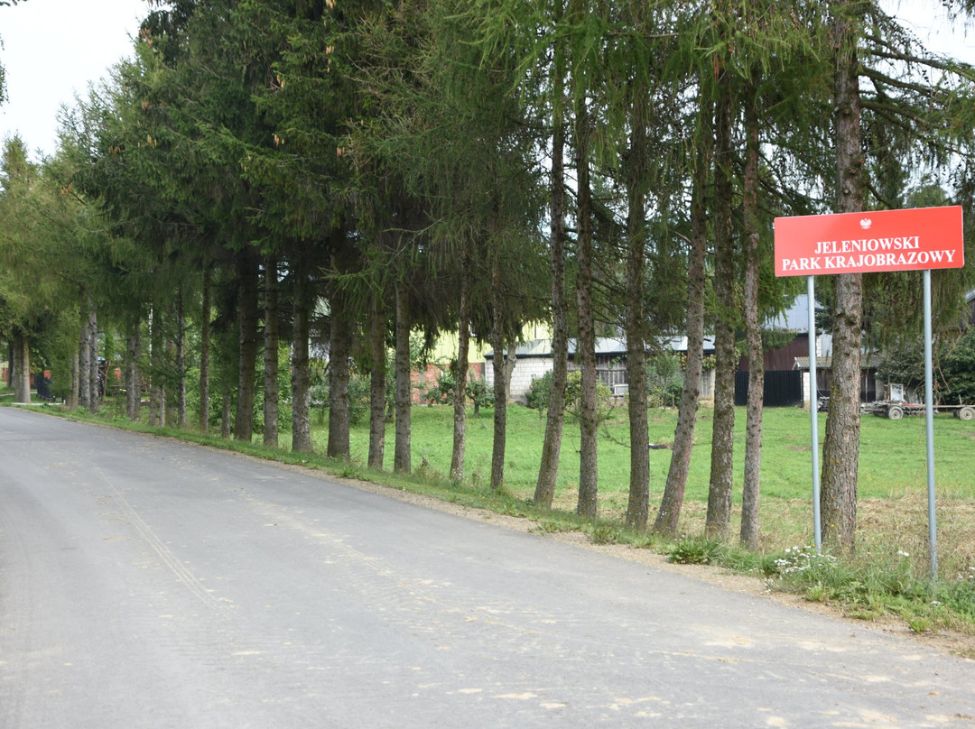 Jeleniowski Park Krajobrazowy景点图片