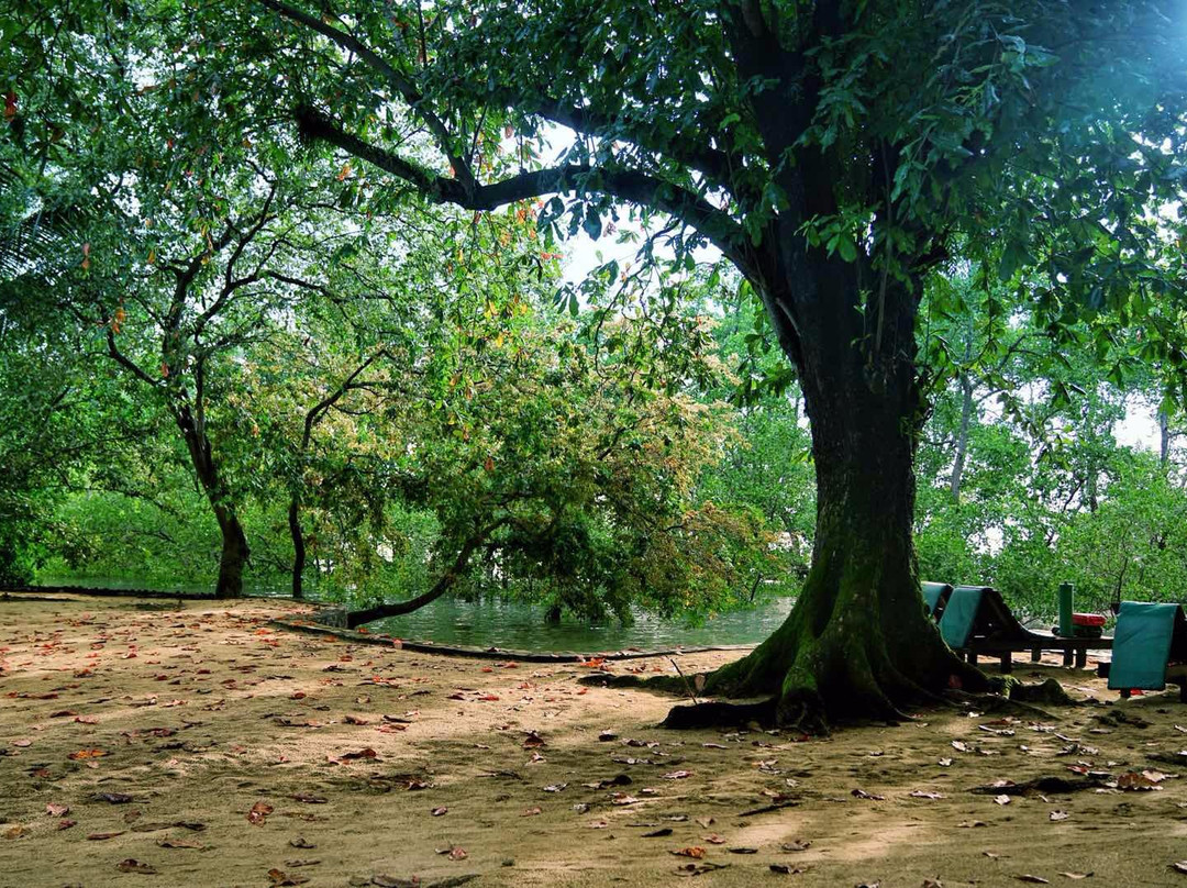 The Village Bunaken Resort主图