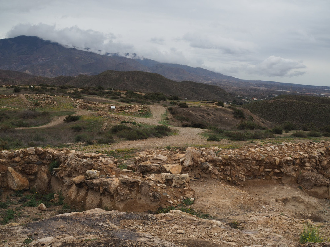 Los Millares - Museo Arqueologico de Almeria景点图片