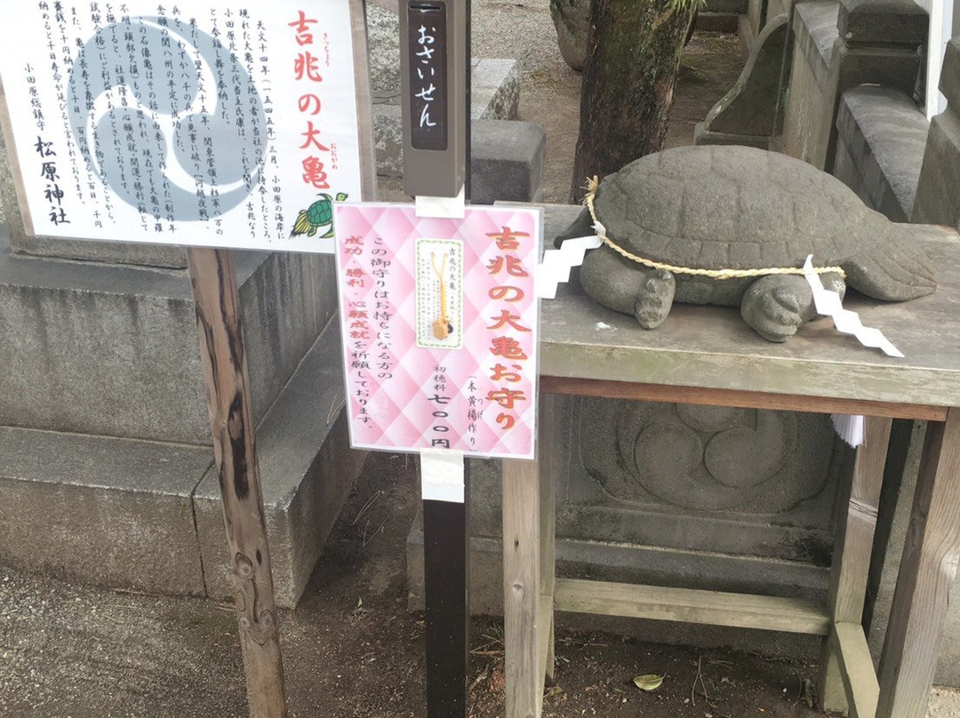 Matsubara Shrine-小田原市必去景点