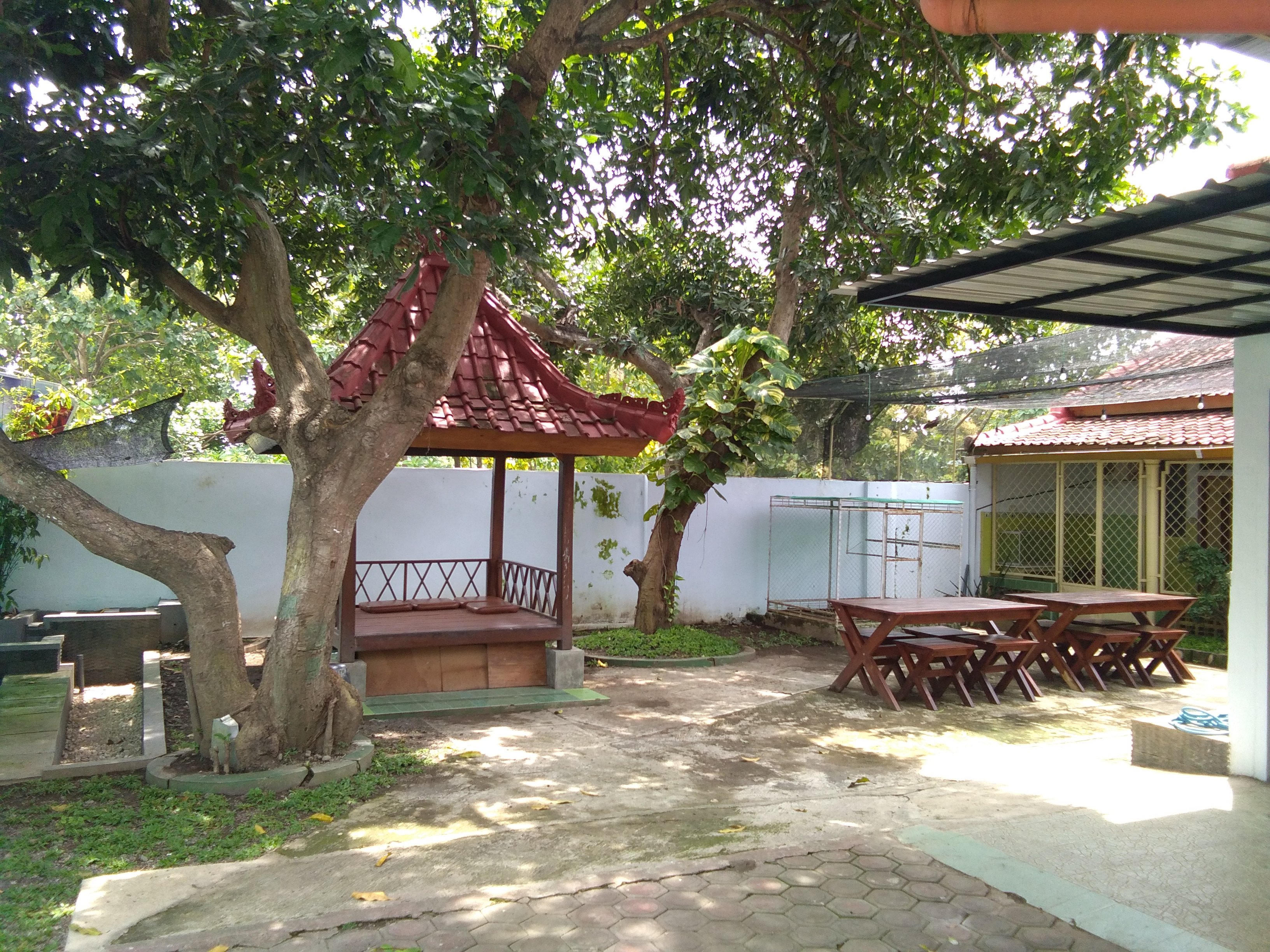 Mango Tree Guesthouse-官方