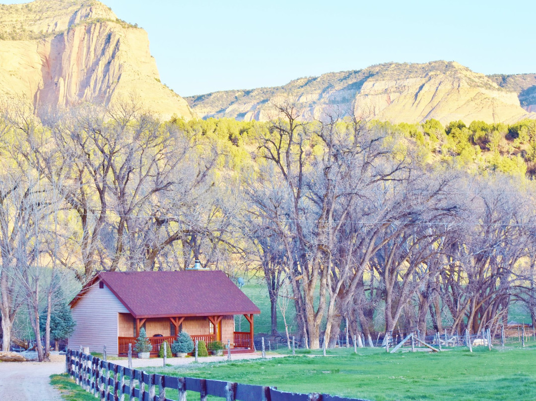 Arrowhead Country Cabins主图