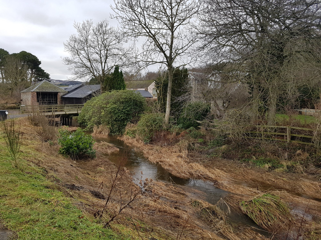 Philiphaugh Salmon Viewing Centre-Selkirk必去景点