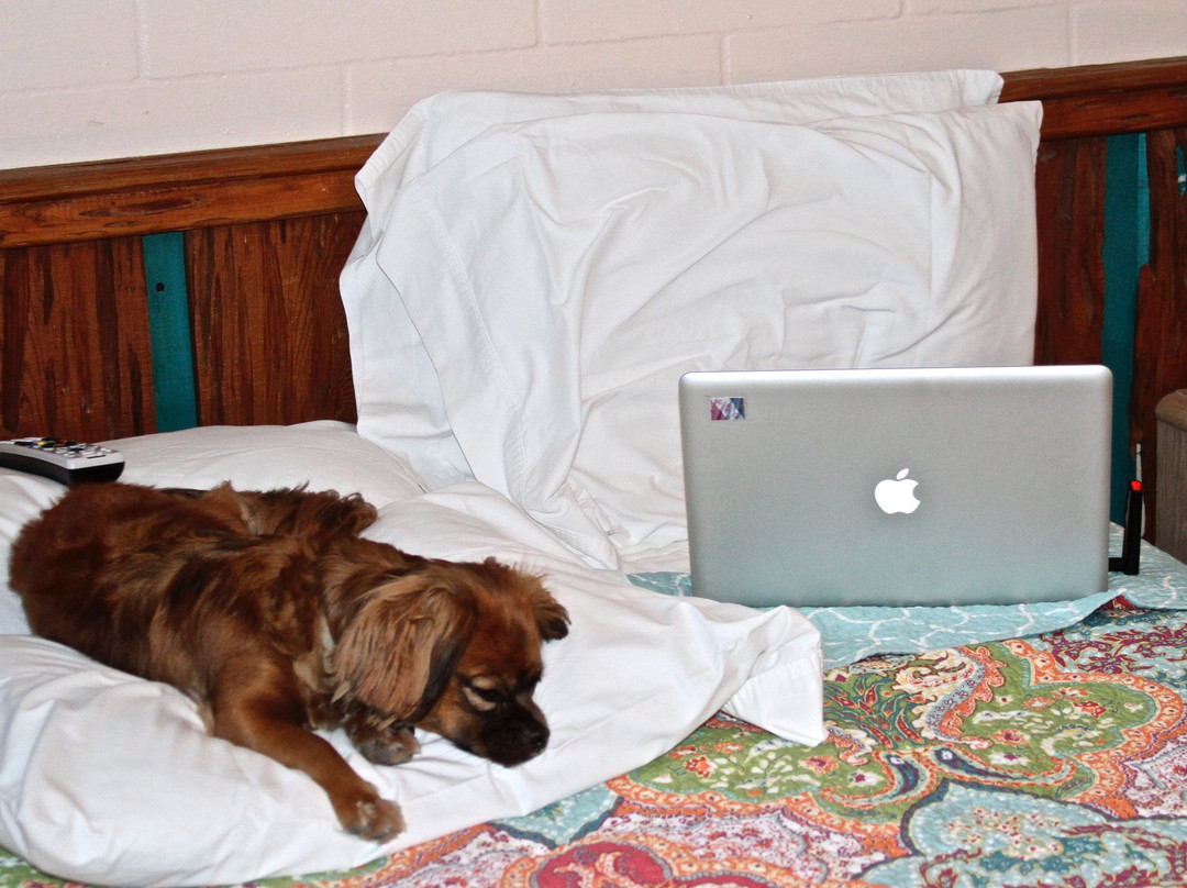 River Inn and Marina主图