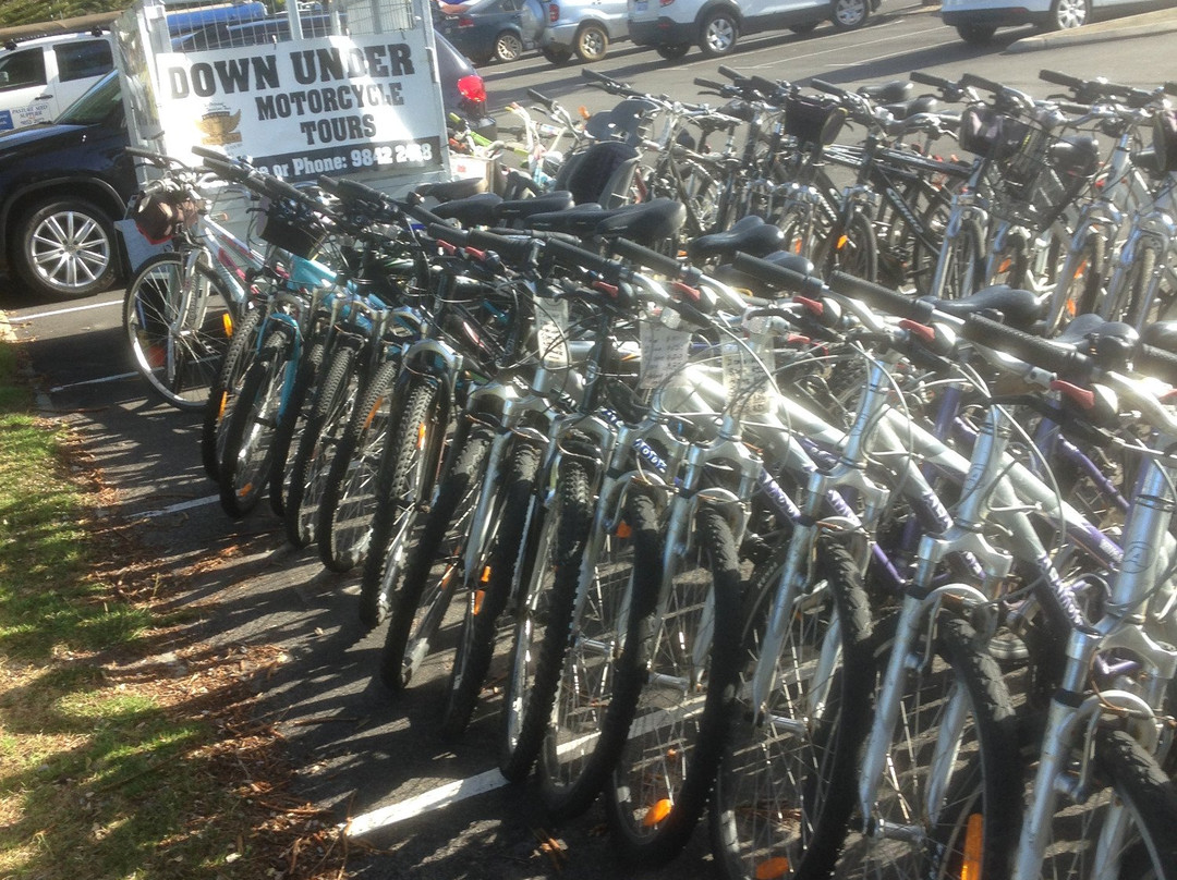 Albany Bicycle Hire-奥尔巴尼必去景点