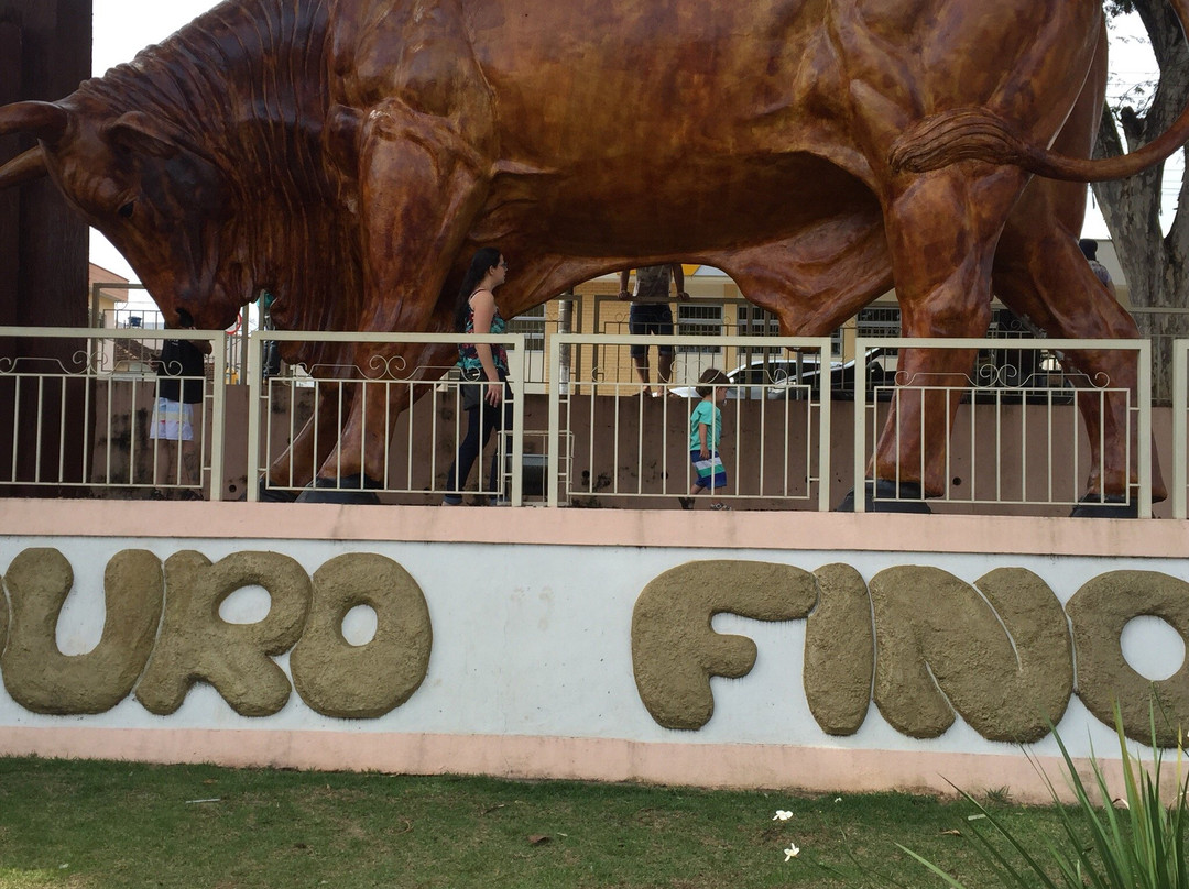 Monumento Boi Sem Coração-Ouro Fino必去景点