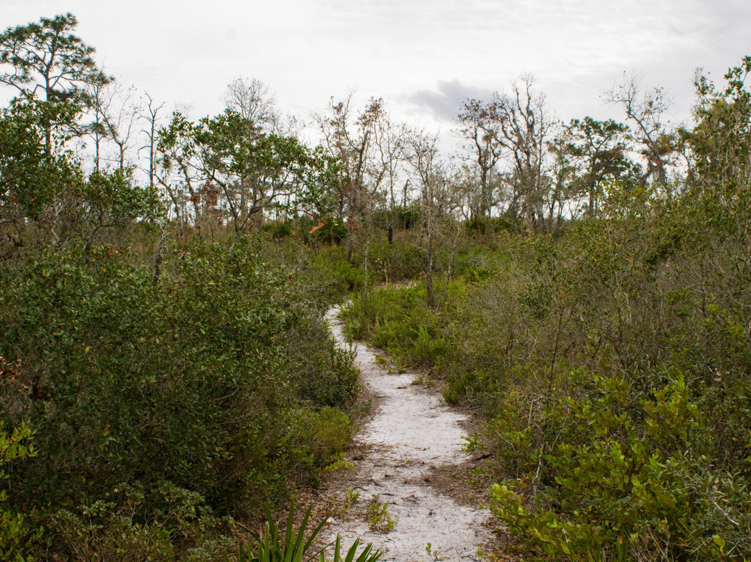 Tiger Creek Preserve景点图片