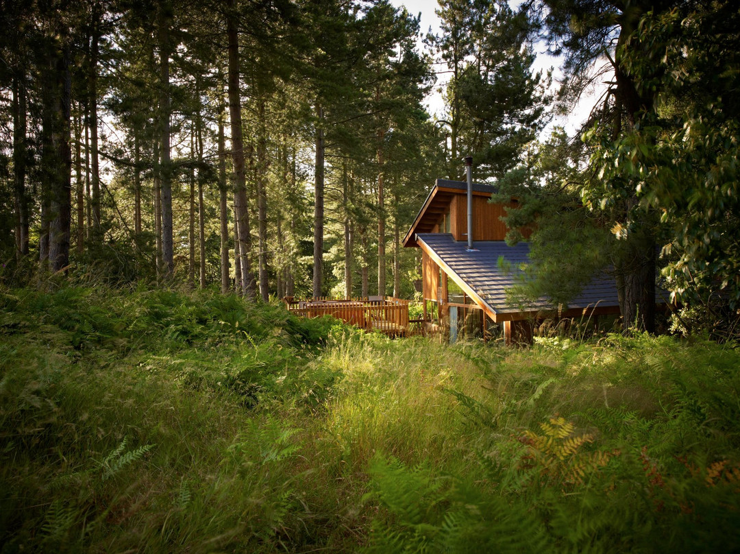 Forest Holidays Sherwood Forest