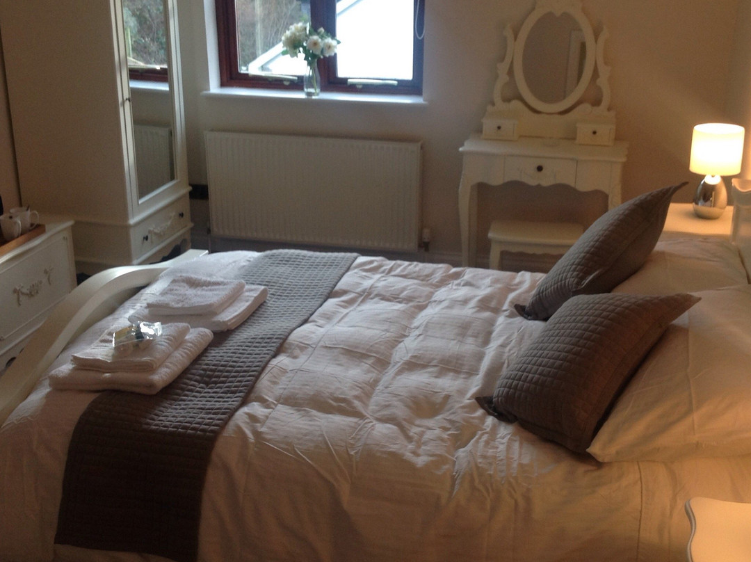 Mill Lodge Brecon Beacons主图