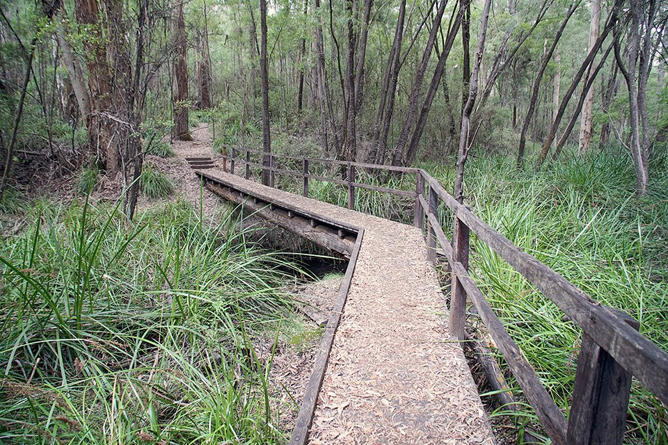 Harewood Forest景点图片