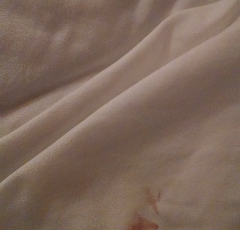 Divots Convention Center-Norfolk必去景点