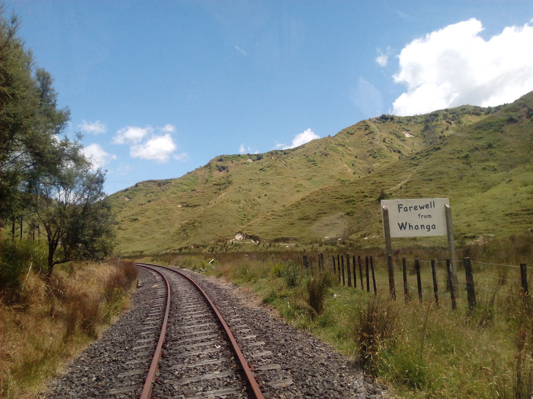 The Whangamomona Road景点图片