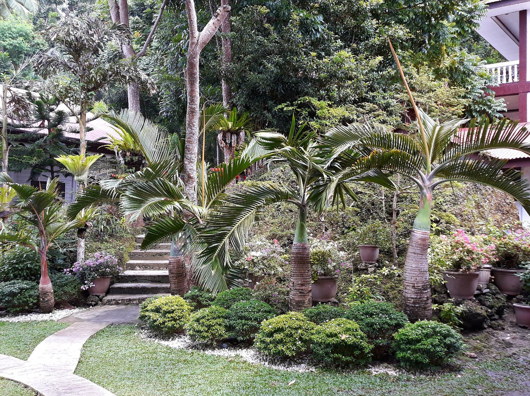 贝提塔岛度假村主图