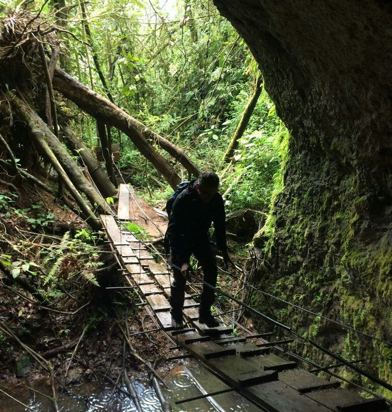 Cascadas De Cocora-萨伦托必去景点